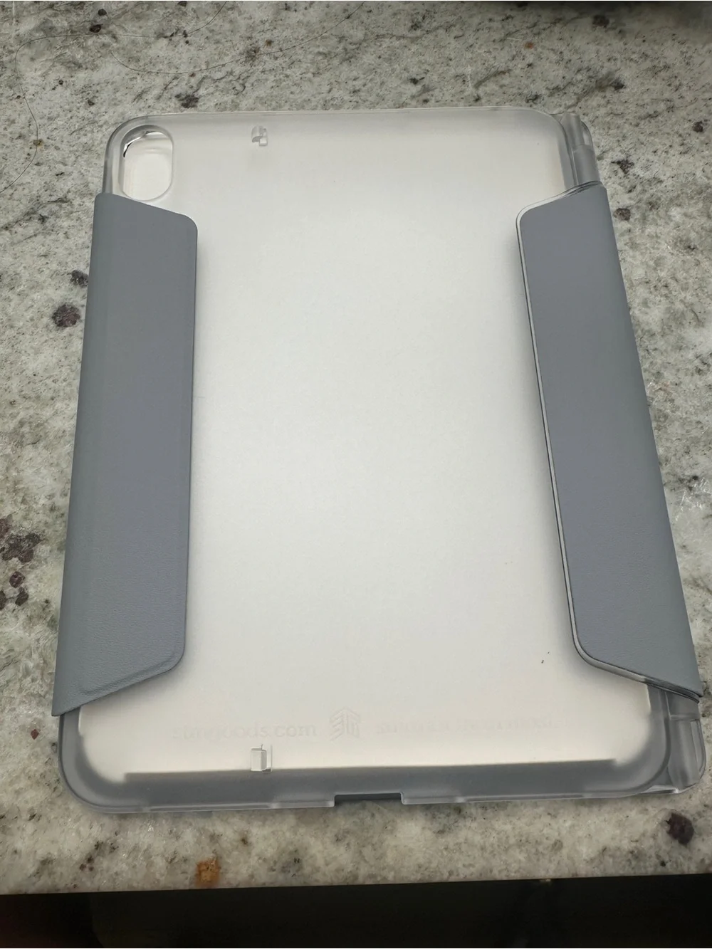 Studio Case for iPad (10th Generation) — Clear/Gray